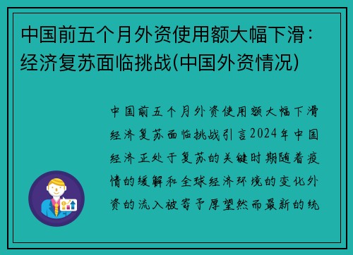 中国前五个月外资使用额大幅下滑：经济复苏面临挑战(中国外资情况)