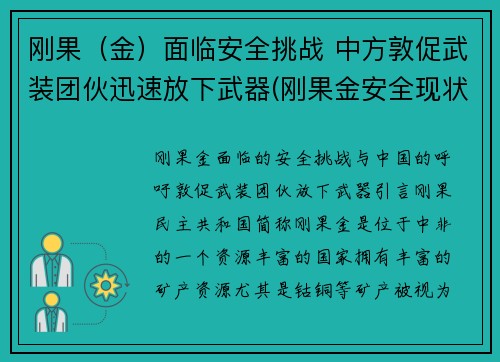刚果（金）面临安全挑战 中方敦促武装团伙迅速放下武器(刚果金安全现状)